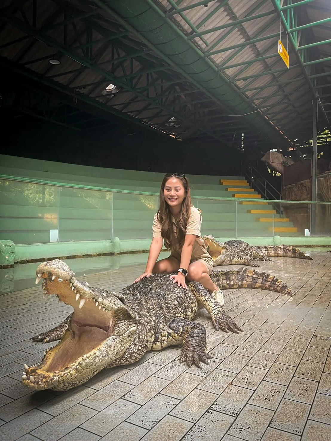 Tiger Topia Crocodile